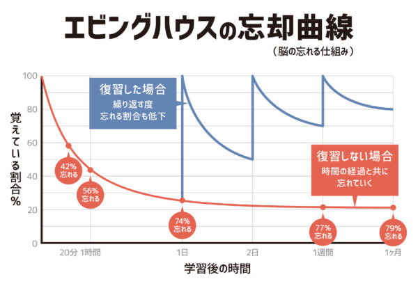 エビングハウスの忘却曲線27733670